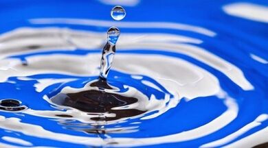 essence diet drink for weight loss